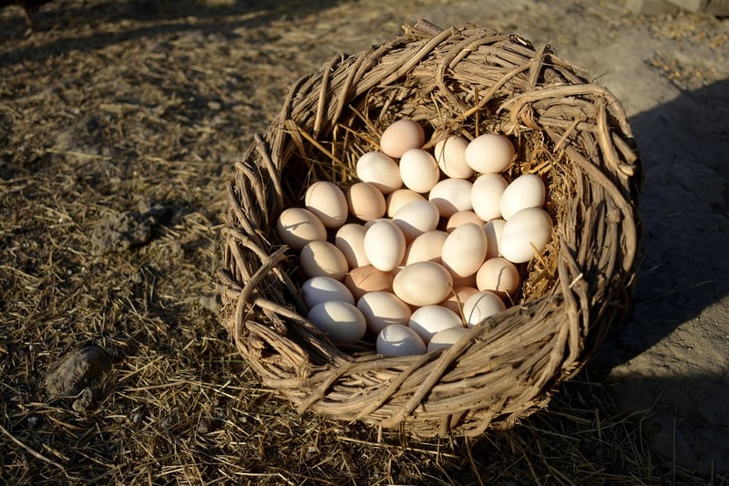 Environmentally Conscious Crafts