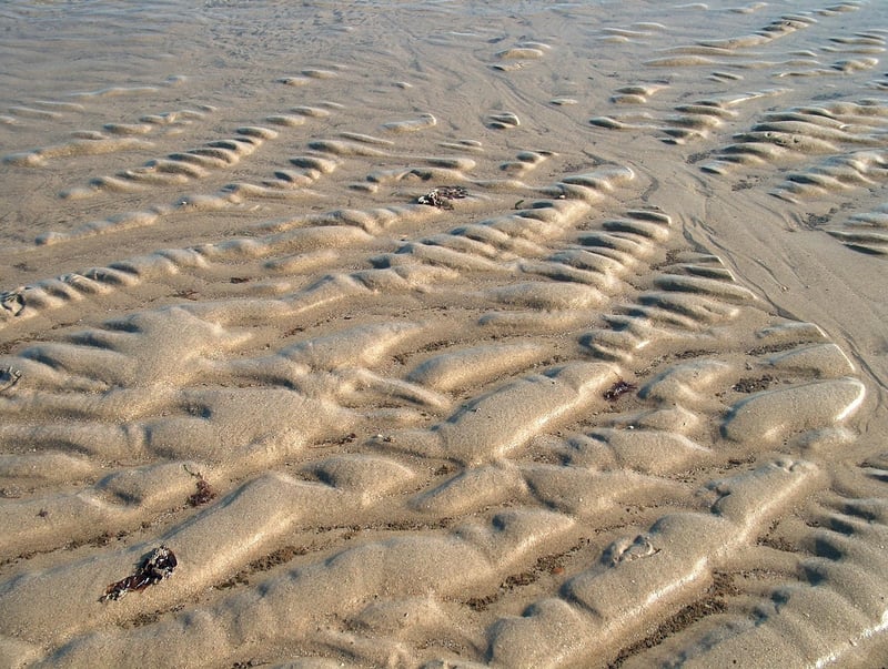 Denim Pocket Organizers
